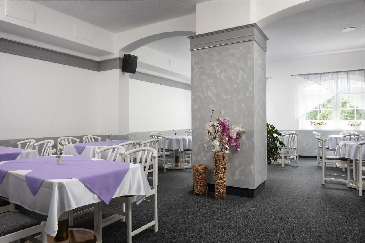 ***  Hotel Ferdinand Czech Republic